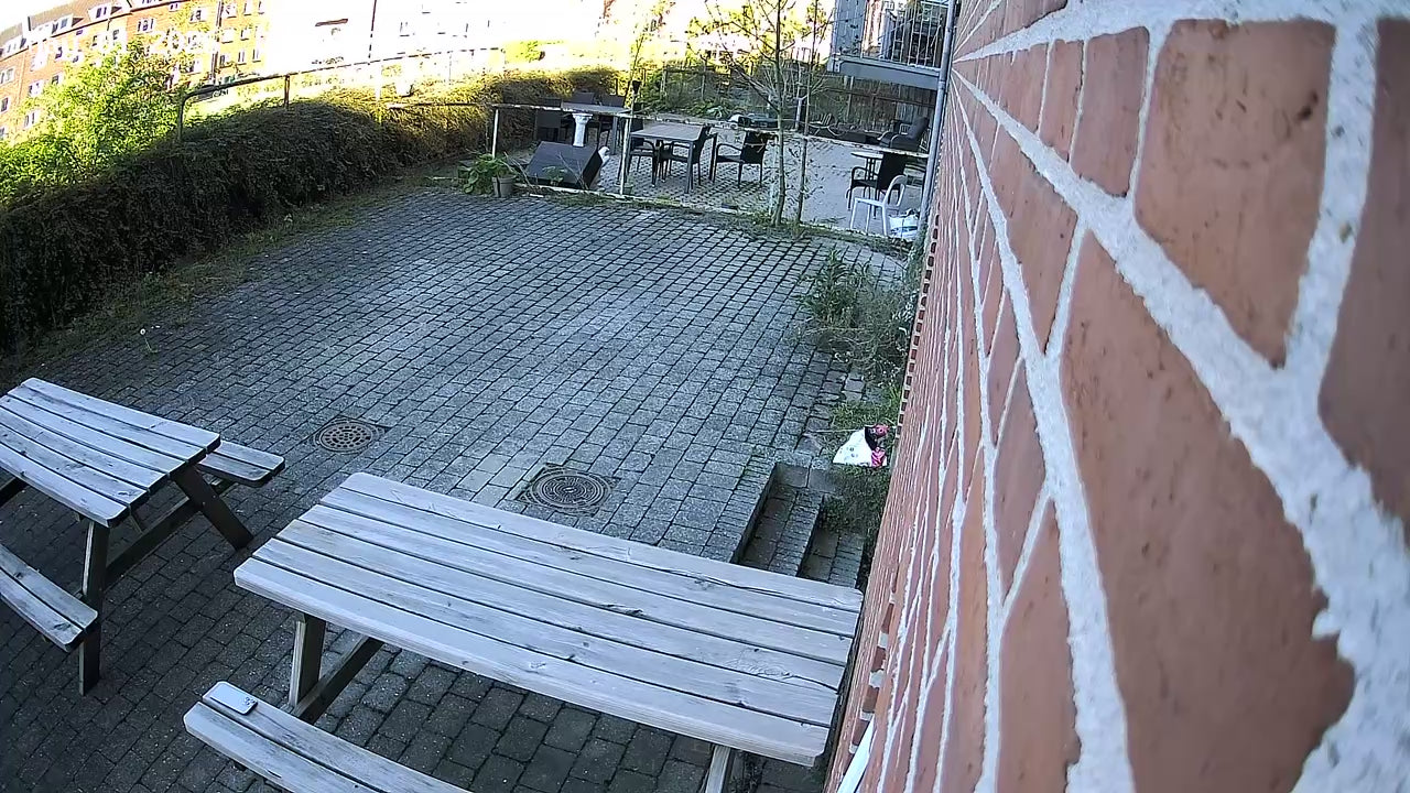 Indlæs video: Et eksempel på videokvaliteten — direkte fra kameraet.